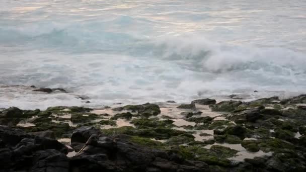 Vagues frappant des rochers sur le rivage 