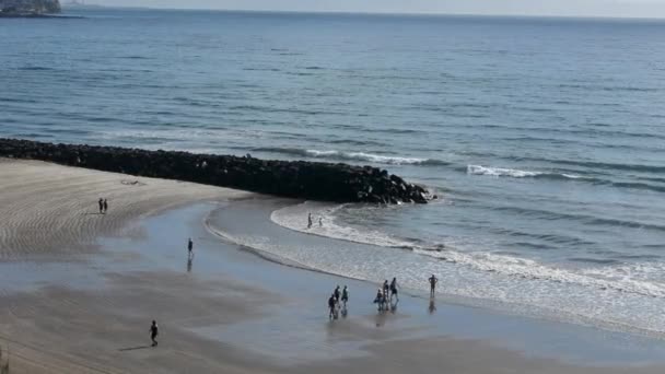 Vista de la gente caminando por la playa — Vídeo de stock