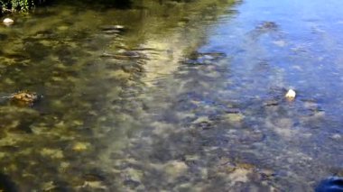 Trasnparent su akan bir nehirde closeup