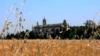 Bir manastır buğday alanının, Jerez de la Frontera üstündeki resim