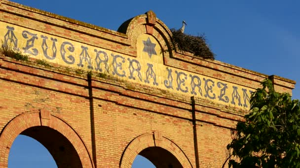 Bociany na stary opuszczony budynek, Jerez de la Frontera — Wideo stockowe