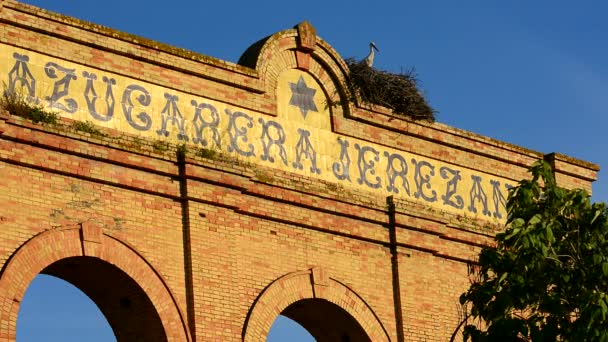 Gólyák, a régi elhagyott épület, Jerez de la Frontera — Stock videók