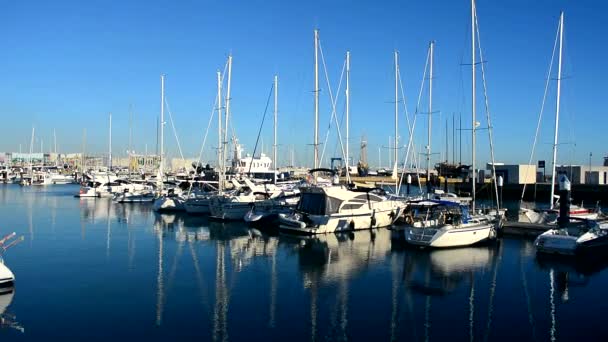 Iates de luxo no porto, Puerto Sherry — Vídeo de Stock