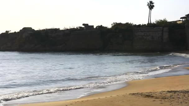 Olas en la orilla del mar — Vídeo de stock