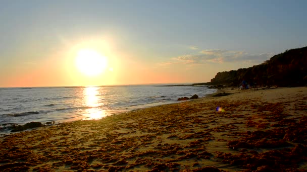 Solen reflekteras från havet på en strand — Stockvideo