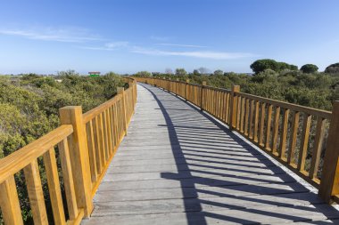 Ahşap doğal çevre yolundaki