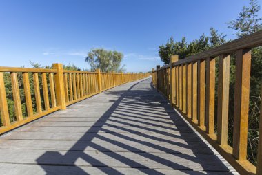 Ahşap doğal çevre yolundaki