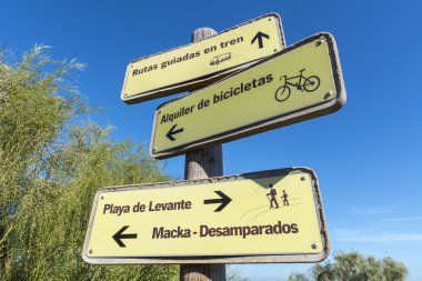 Farklı etkinlikler gösteren sinyalleri