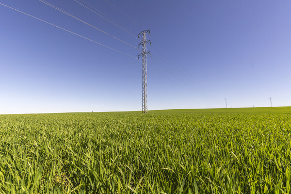 Electric tower in green field