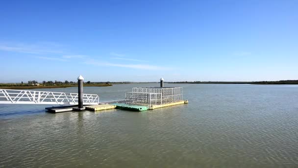 Houten brug pier in een rivier — Stockvideo