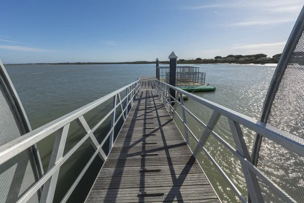 Muelle de madera en medio de un río — Foto de Stock