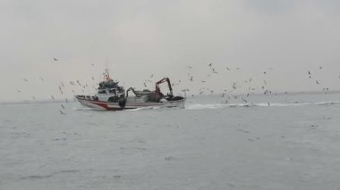 Uçan martıları tarafından çevrili deniz balıkçı teknesi