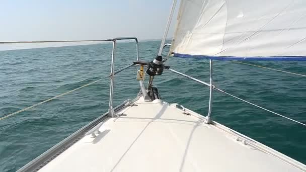 Sailboat sailing — Stock Video