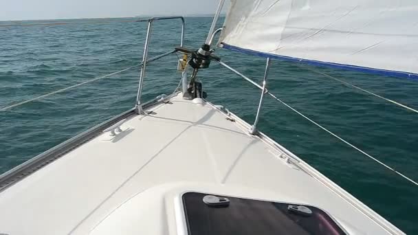 Sailboat sailing — Stock Video