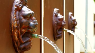 Çeşme lionhead (4k)