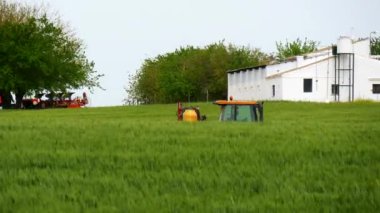 Buğday alanında (4 k çalışan traktör)