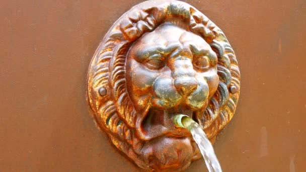 喷泉狮子头 (4 k) — 图库视频影像