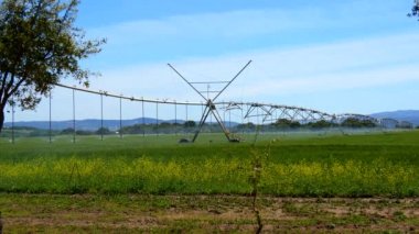 Endüstriyel sulama bitkileri