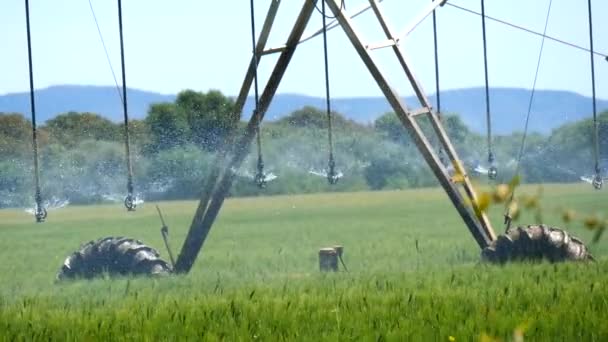 Irrigação industrial das culturas — Vídeo de Stock