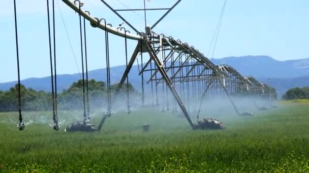 Industrielle Bewässerung von Nutzpflanzen — Stockvideo