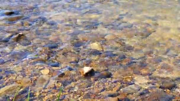 Agua dulce, corriente y cristalina de un río (4K ) — Vídeo de stock