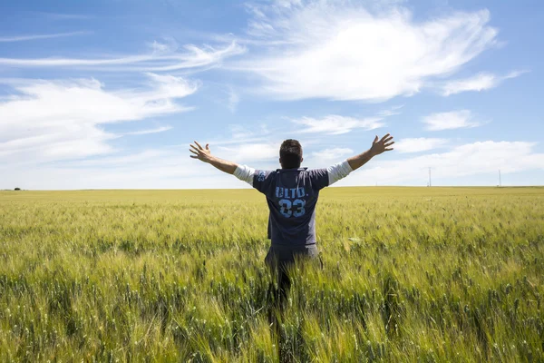 Çiftçi hasat buğday kalitesi izliyor