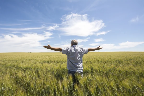 Çiftçi yağmur yağıyor isteyen