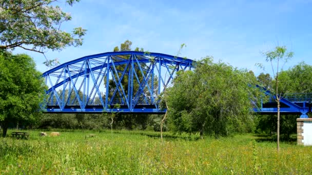 Puente azul de hierro sobre río y prado (4K ) — Vídeo de stock