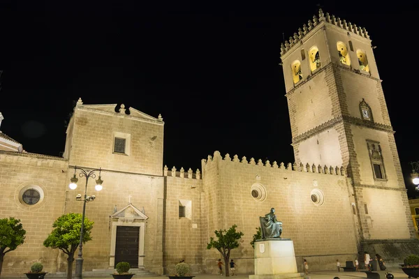 Sint-Jan Baptist kathedraal in de nacht, Badajoz, Spanje — Stockfoto