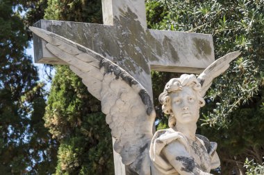 Graves in the cemetery, graveyard