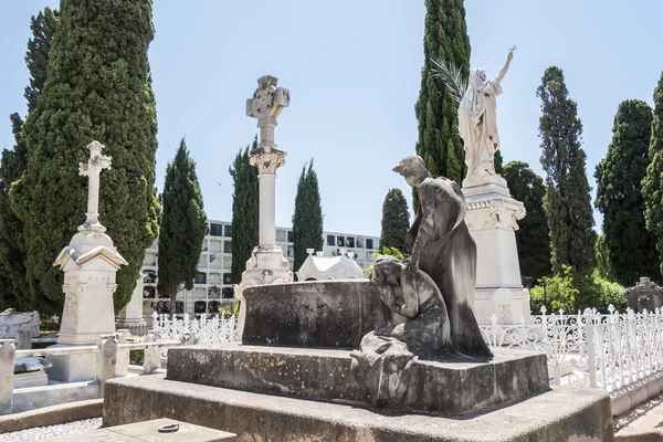 Graves in the cemetery, graveyard