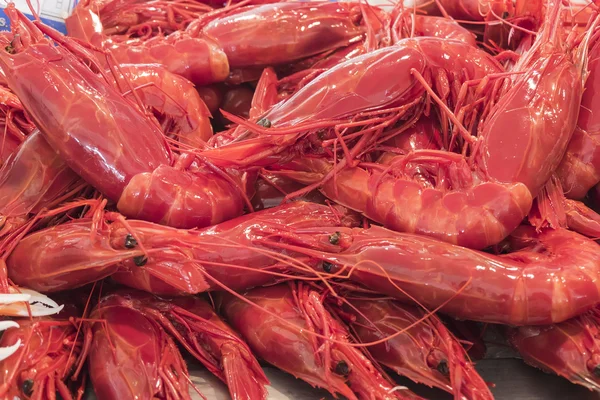 Giant red prawns (Aristaeopsis edwardsian) — Stock Photo, Image