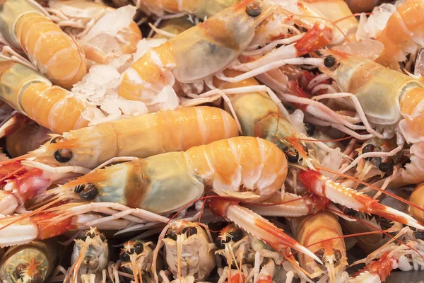 Mantis Shrimp in seafood market — Stock Photo, Image