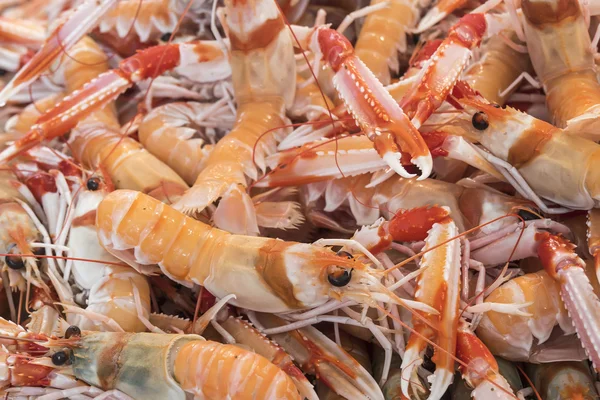 Mantis Shrimp in seafood market — Stock Photo, Image