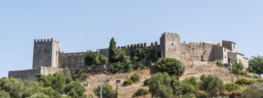 Castellar de la Frontera Castle, Andalusia, Spain clipart