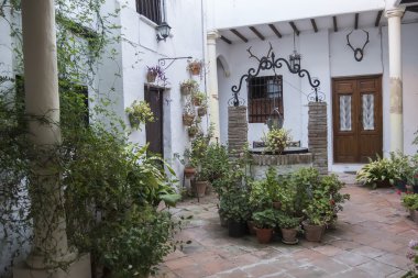 Tipik Endülüs avlusu ile birçok bitki ve çiçekler, İspanya