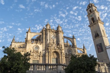 Bir Jerez de la frontera Katedrali, İspanya