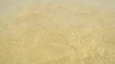 Temiz su dalgalar (4k sahil kıyısında)