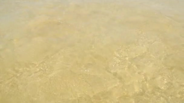 Des vagues d'eau claire sur le rivage de la plage (4K )