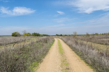 Kırsal toprak yolun ortasında doğa
