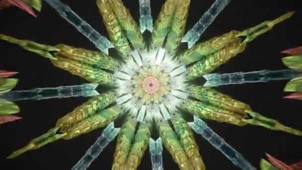 Prachtige Kleurrijke Trippy Patroon Animatie Vrede Liefde Visuele Mandala Spirituele — Stockvideo