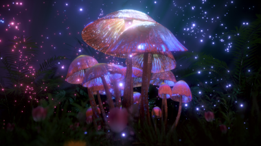 Yumuşak parlayan parçacıklar tarafından aydınlatılan fantezi mantarlar, mistik görseller, meditasyon alanları, doğadan esinlenilmiş fantezi sanatı ve dalgın ortamlar için ideal dingin ve dünya dışı bir manzara oluşturur.