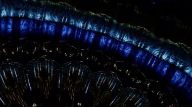 Yumuşak hareket ve yumuşak ışıkla dönen 360 derece dönen mandala, rahatlama alanları, aile içleri ve sağlık alanları için mükemmel sakin bir dekoratif atmosfer yaratıyor.