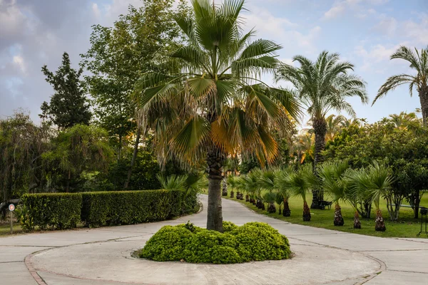 Caminho no parque turco — Fotografia de Stock