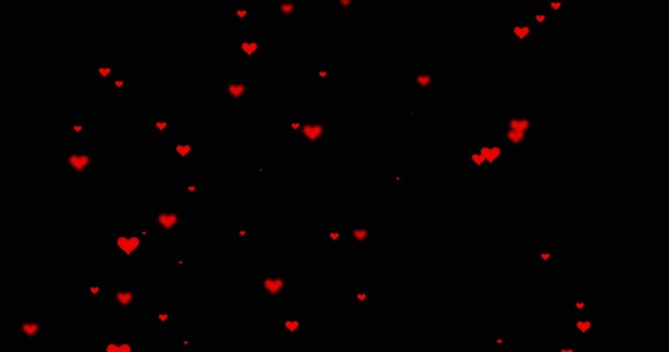 Animált lezuhanó vörös szívek egy fekete háttér, repülő szívek 4K — Stock videók