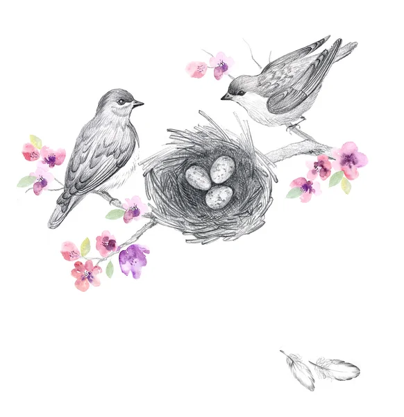 Watercolor flowers and cute birds — Stock Image Watercolor flowers and cute birds Stock Picture