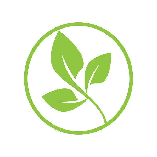 Eco biologisch icoon. Elementen van groene bladeren. Logo voor natuurecologie — Stockvector