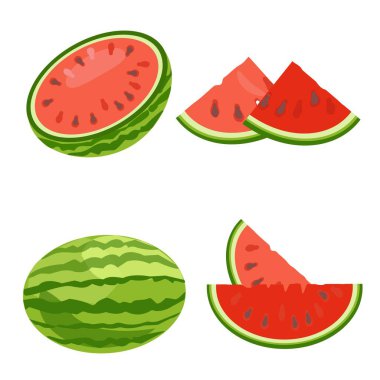 Karpuzu hazırla. Böğürtlen, yarısı ve dilimler halinde kesilmiş. Vektör illüstrasyonu
