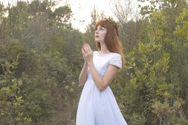 Pre-Raphaelites resim