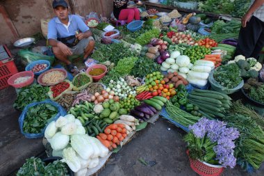 Sebze ve baharatlar New Market 'te veya Psar Thmei şehirde, Battambang Kamboçya' da
